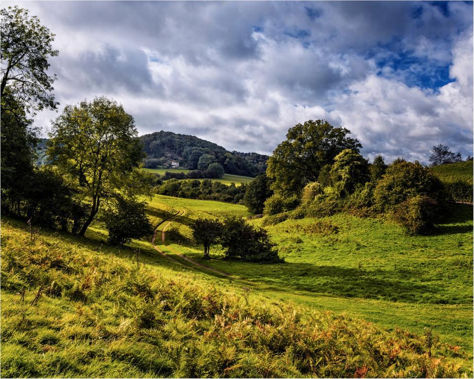 Owlpen Manor Cottages Uley Exteriör bild